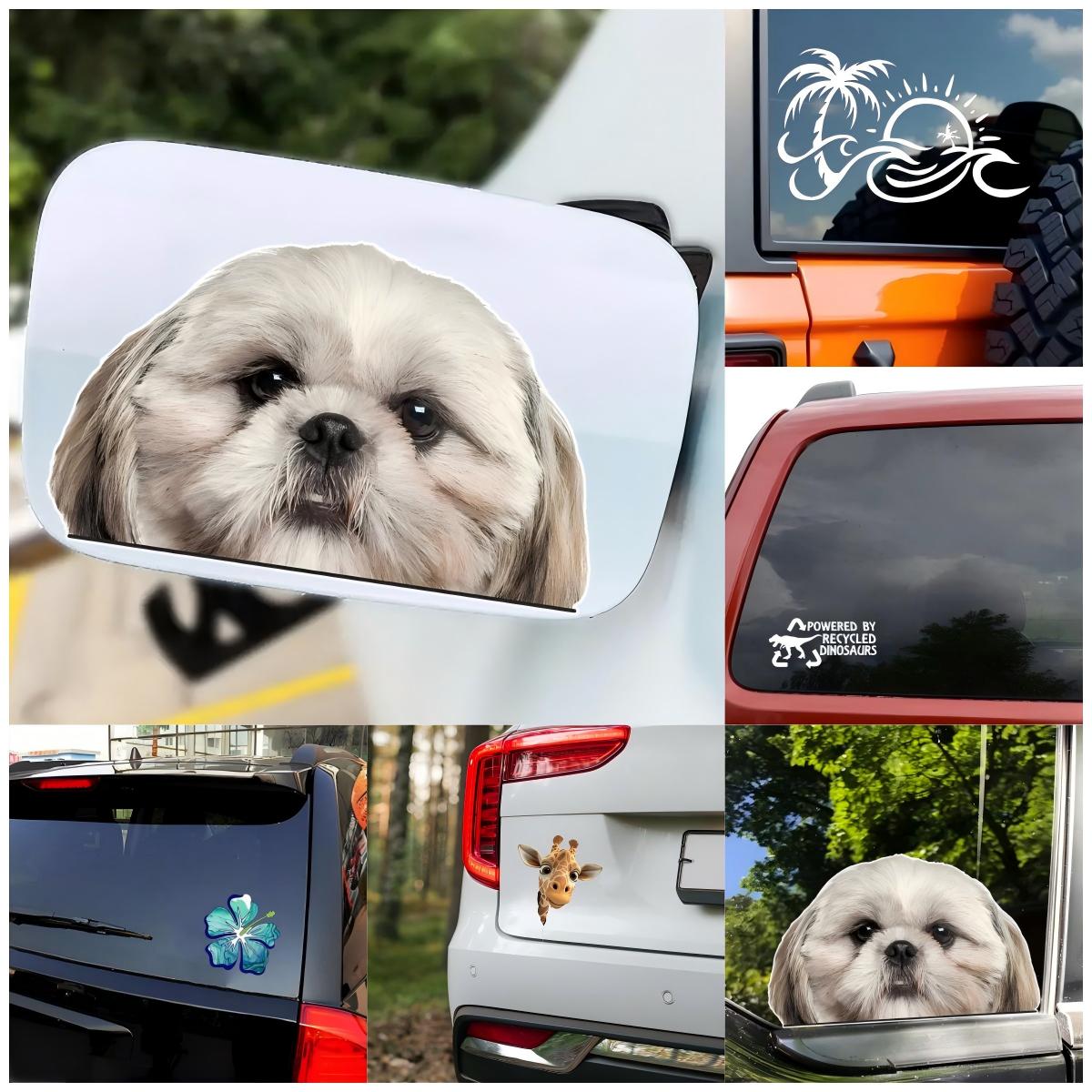 Adesivo per Auto Classico con  - Laptop Accessories Design recensione e prezzo