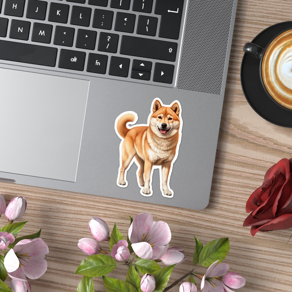 Adesivo Creativo per Moto a Fo - Laptop Accessories Best recensione e prezzo